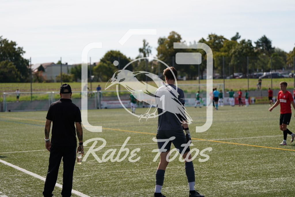 DSC08726 | rabefotos