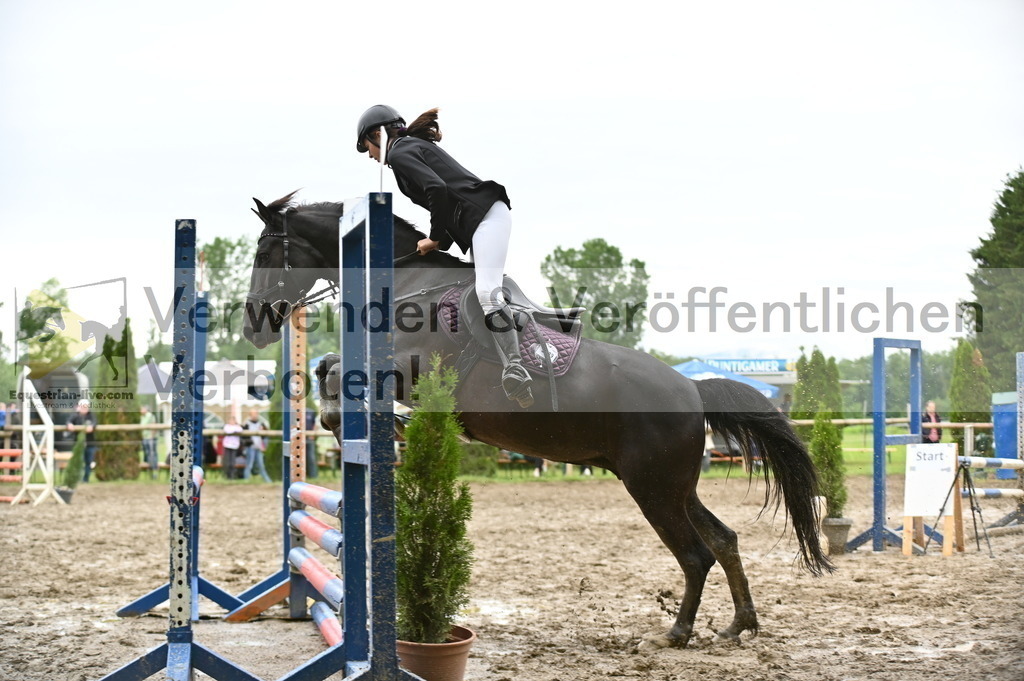 DSC_0522 | equestrian-live-com