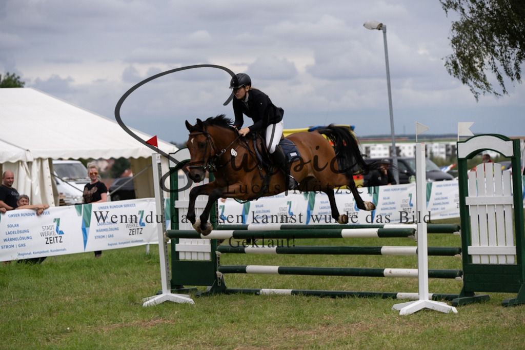 A7V05591 | Pferdefotograf