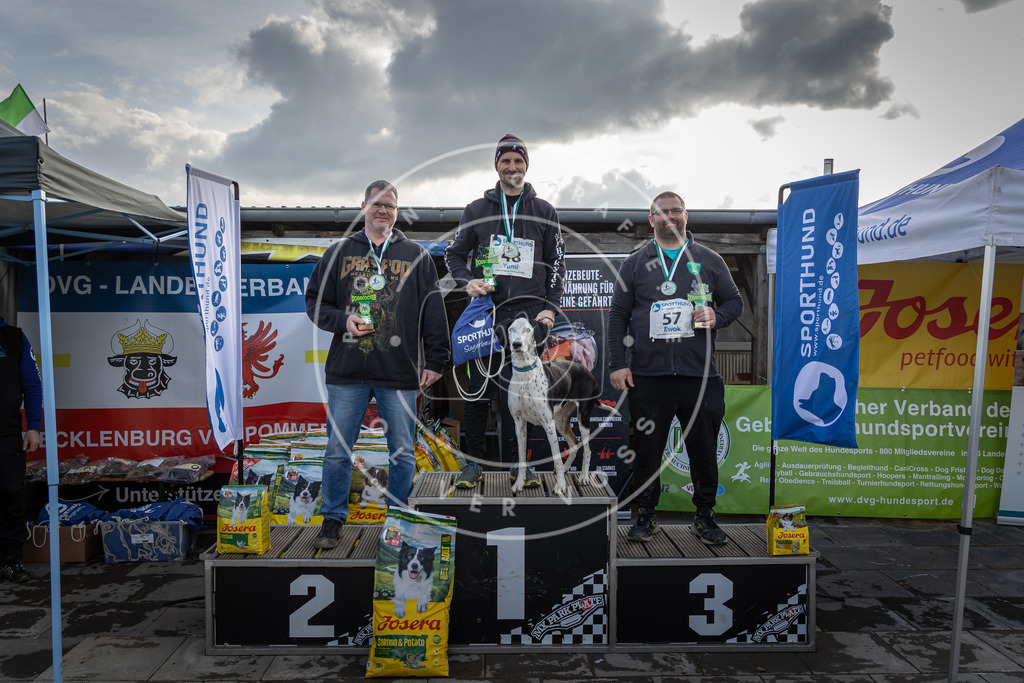 0L8A9150 | Hundefotografie, Tierfotograf, Pfotenfotografie, Fotoshooting Hund, Hunde Portrait, Hundesport, Hundeportraits, Heideshooting, Hunde, Sportfotograf, Hundefotograf, Turnierhundsport, THS,  - Realisiert mit Pictrs.com