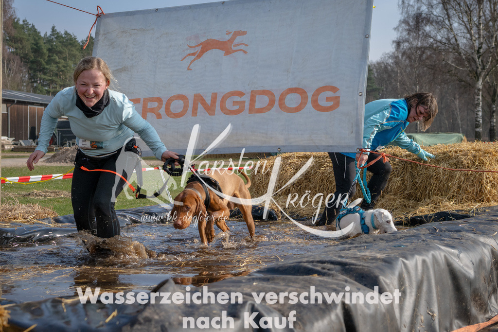 _ZZ91352 | kk-dogfotos