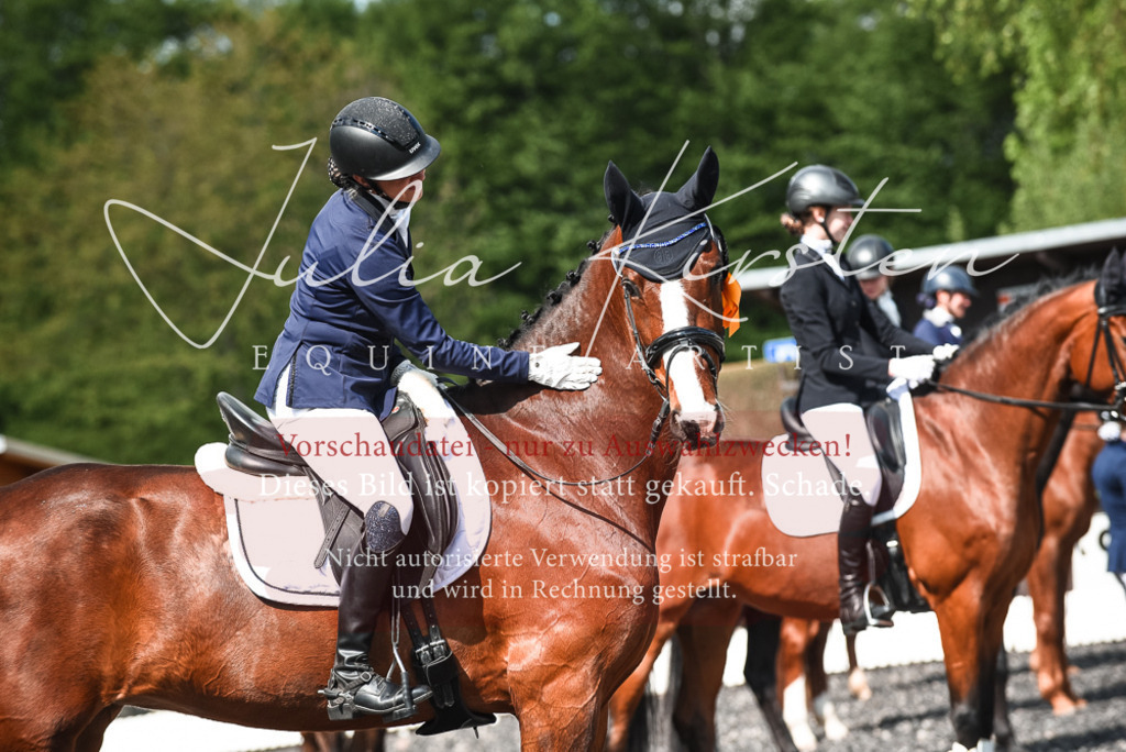 DSC_9077 | Pferde- und Turnierfotografie in Westsachsen. Pferdeportraits, Auftragszeichnungen und intuitive Kunst.