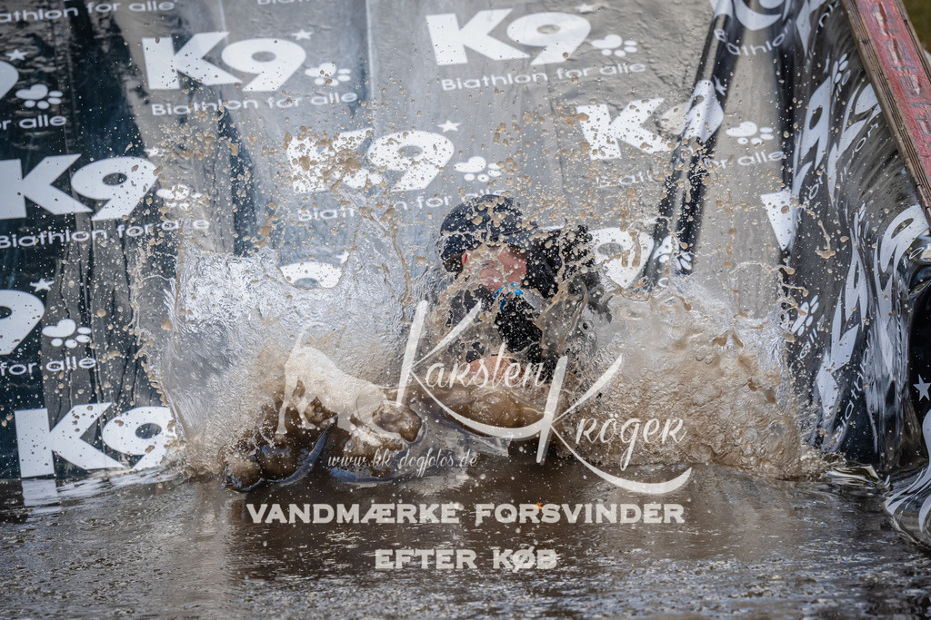 1531_ZZ94814 | kk-dogfotos