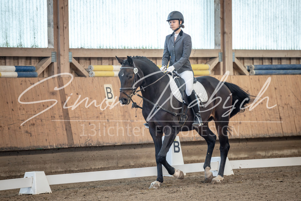 20251011-_3LI7525 | Tierfotografie Pferde, Hunde, Katzen, Haustiere.
Turnierfotografie Reitturniere, Reiten, Springreiten, Dressur in Hanau, dem Main-Kinzig-Kreis und dem Rhein-Main- Gebiet um Frankfurt