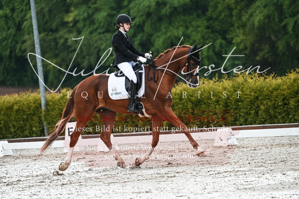 DSC_4287 | Pferde- und Turnierfotografie in Westsachsen. Pferdeportraits, Auftragszeichnungen und intuitive Kunst.