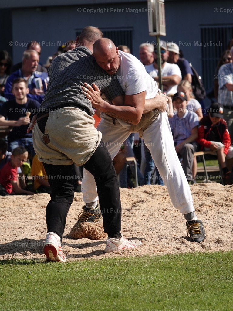 DSC05599 | Schwingen - Realisiert mit Pictrs.com