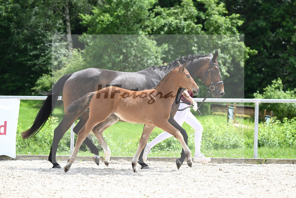 Viva Vitalis x Locksley III_SF_Ochs_20240483 | hf-fotografie - Realizzato con Pictrs.com