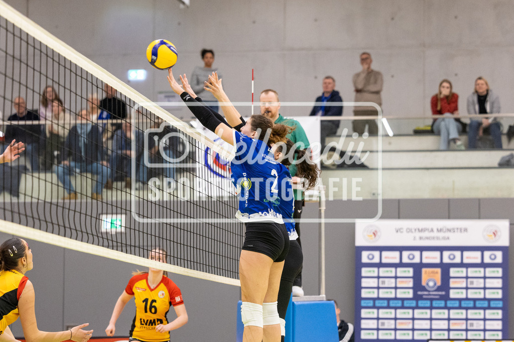 Volleyball I Frauen I Saison 2025-2026 I 2. Bundesliga Nord I 15. Spieltag I VCO Münster - VC Osnabrück I 25.01.2026-047 | Maja Henrike Lange (2, VC Osnabrück) - Realisiert mit Pictrs.com