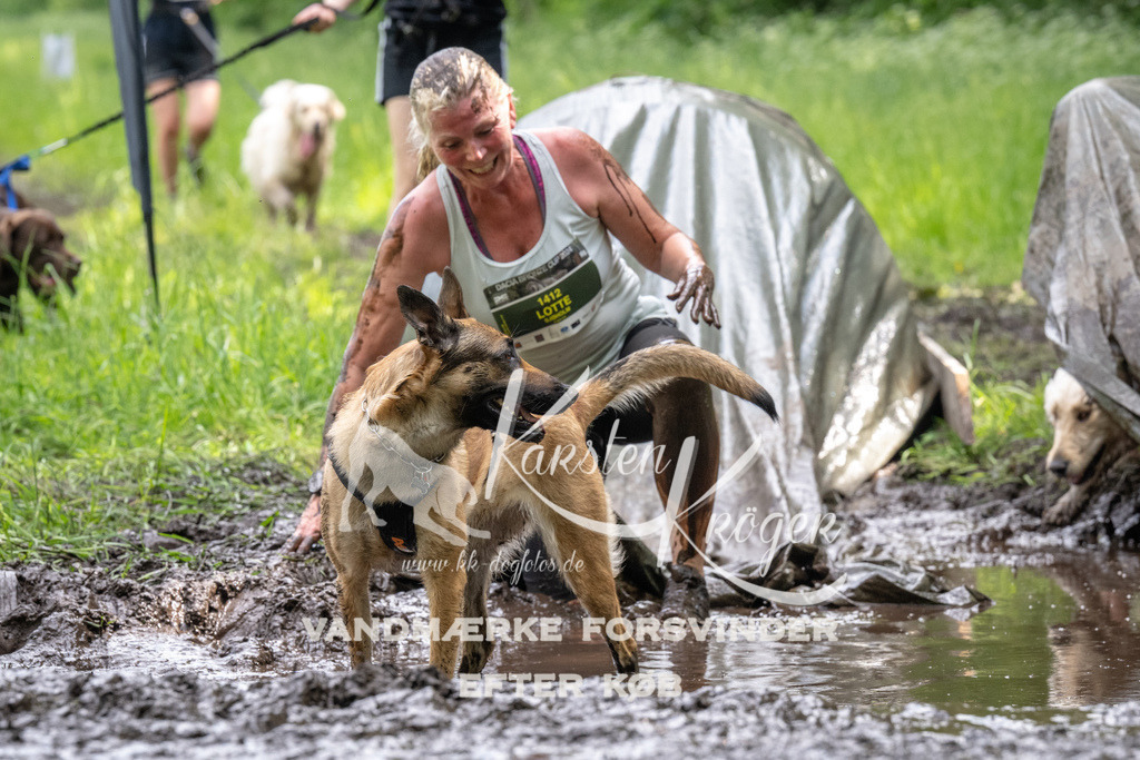 1250_ZZ93799 | kk-dogfotos