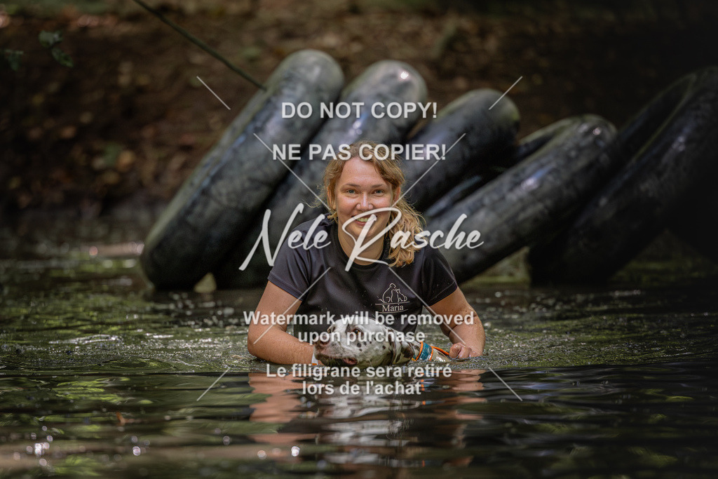nelerasche_SaWingst1400-1500_442 | nelerasche
