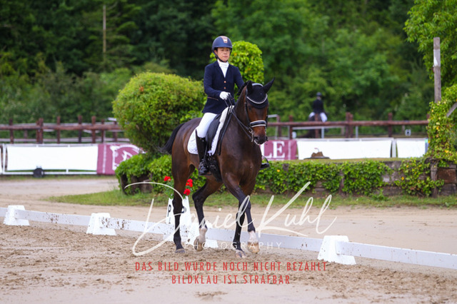 DKP46910 | Turniersportfotografie; Pferdefotografie; Dressurfotografie