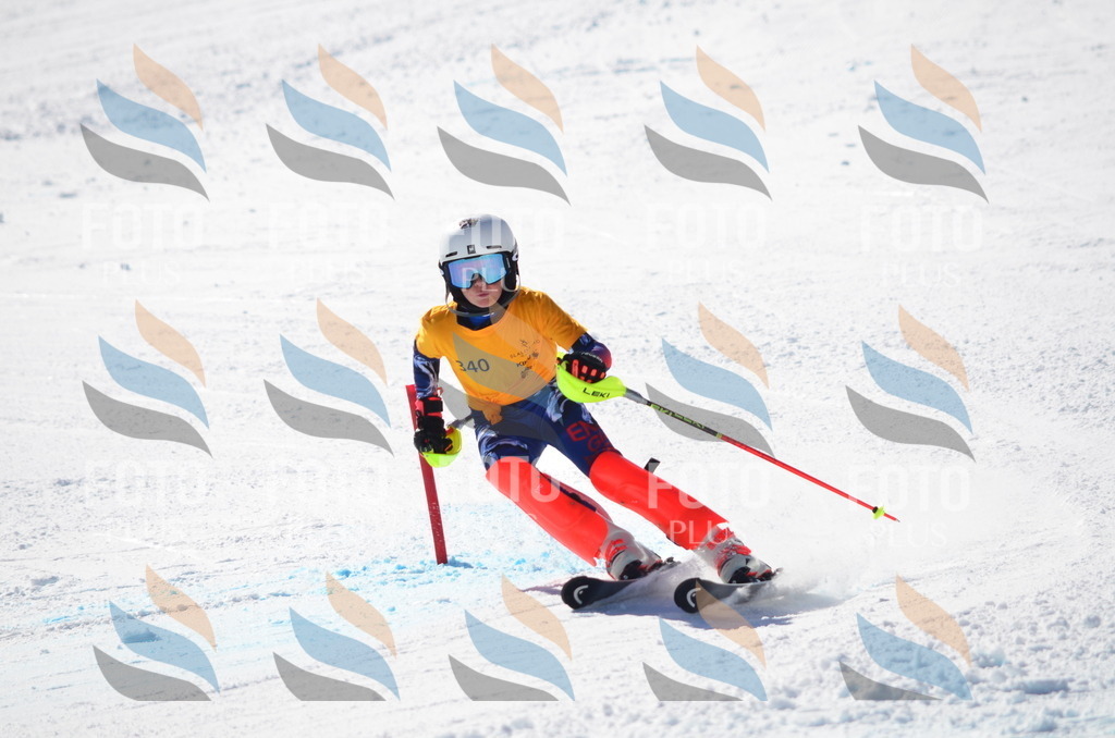 C9722 | holidayphoto