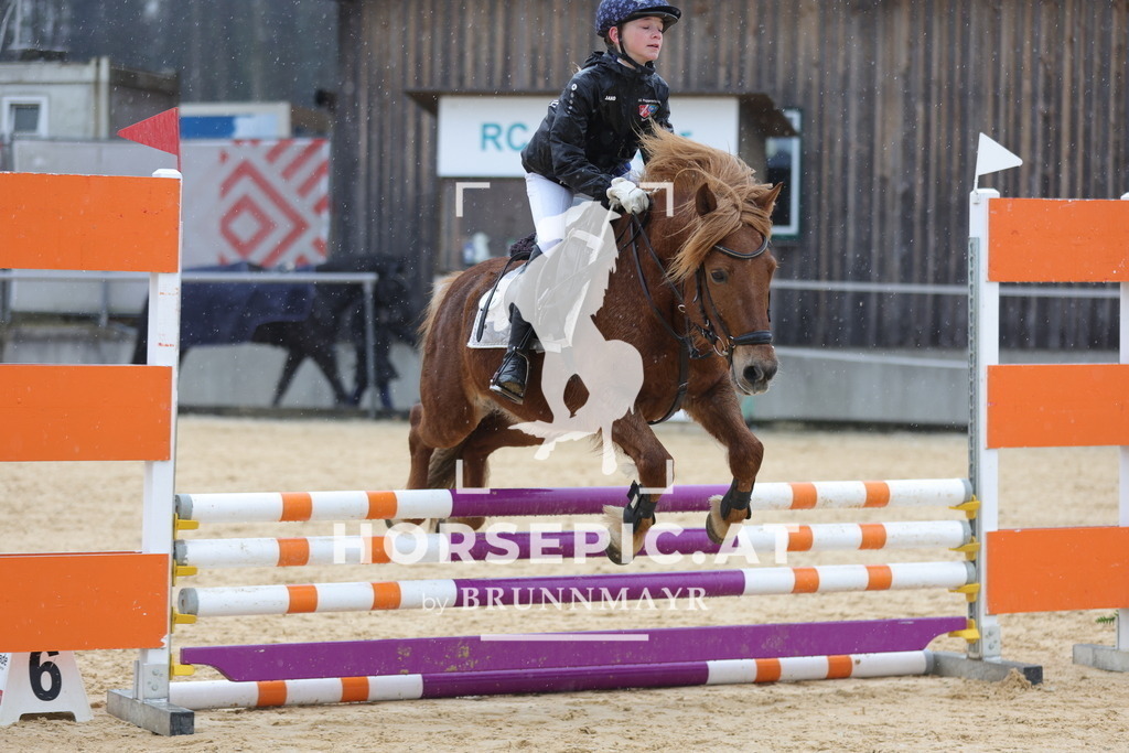 0P6A7275 | Willkommen bei Brunnmayr - Design & Fotografie – Ihrem Spezialisten für Reitturniere und Pferdeveranstaltungen in Oberösterreich, Salzburg und Bayern! Seit über 17 Jahren sind wir leidenschaftlich dabei.