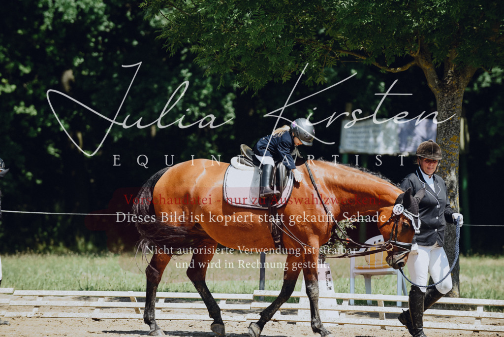 DSC_2624 | Pferde- und Turnierfotografie in Westsachsen. Pferdeportraits, Auftragszeichnungen und intuitive Kunst.