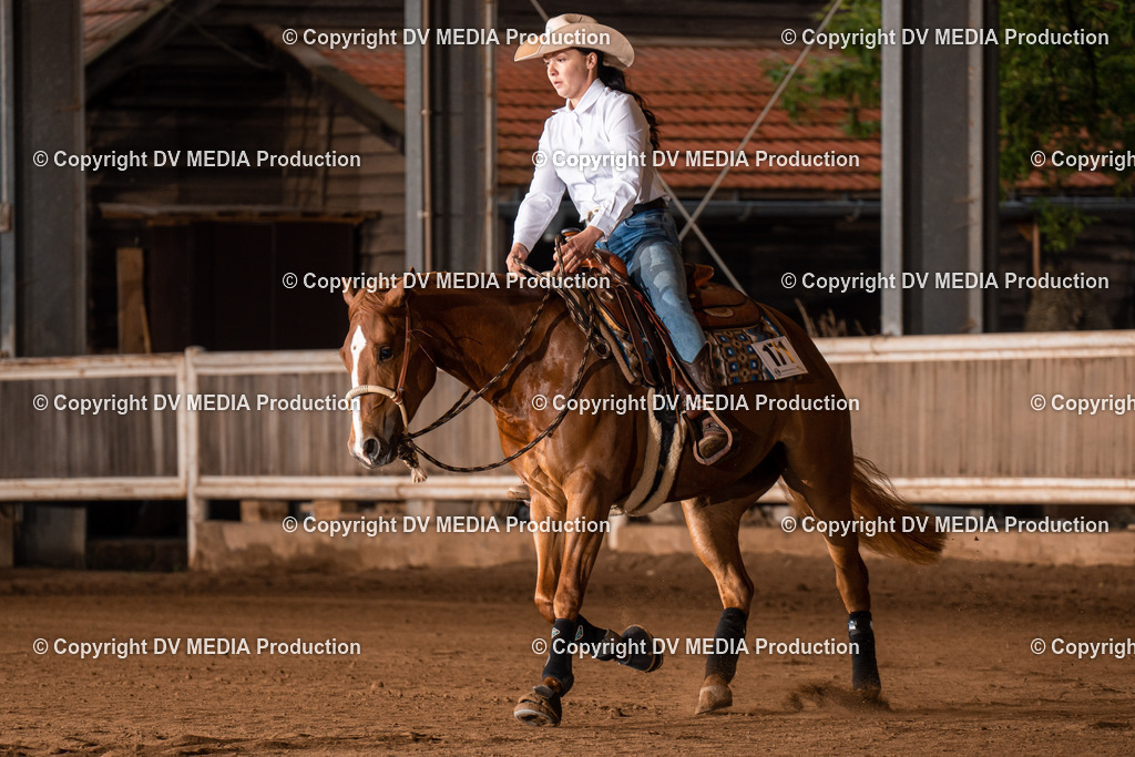 Erbach Tag 3-939 | dv-media-shop - Realisiert mit Pictrs.com