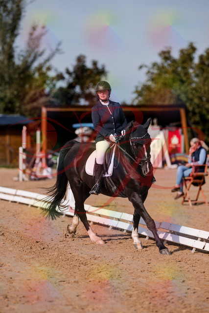 2026_10_03_Siefer-Hof_113745_Z81_81320274 | Professionelle Reitsport-, Turnier- und Eventfotografie von Robert Broda. Galerien mit ausgewählten und bearbeiteten Bildern direkt online ansehen und bestellen.