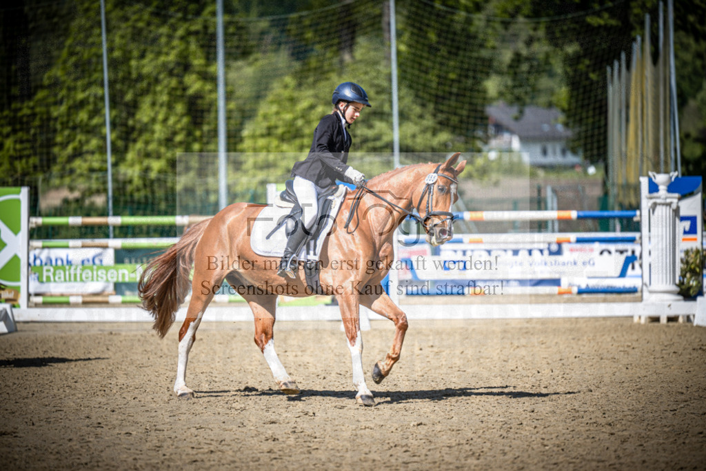 DOS_1530 | Reitturnier Venne - Realisiert mit Pictrs.com