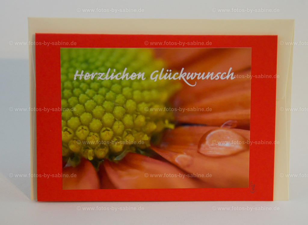 DSC_9071 | fotos-by-sabine - Realisiert mit Pictrs.com