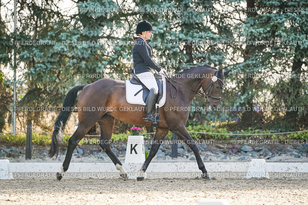 DSC08078 | Pferdegrafie