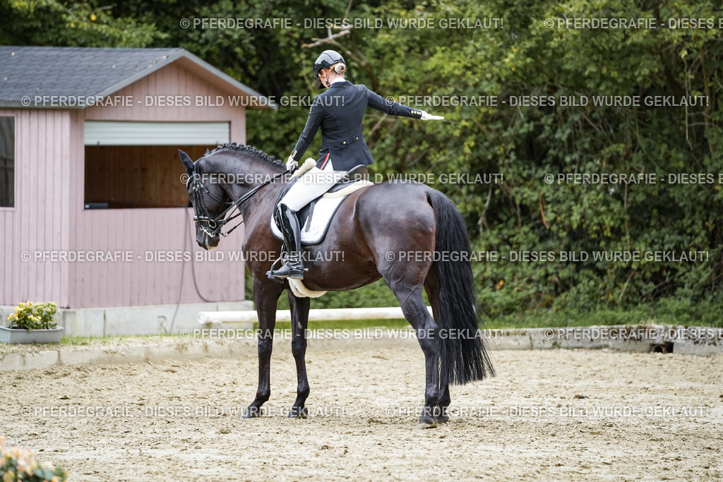 DSC01551 | Pferdegrafie