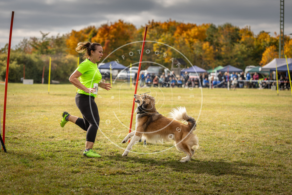 Pfotenfotografie_DV3A7197 | Hundefotografie, Tierfotograf, Pfotenfotografie, Fotoshooting Hund, Hunde Portrait, Hundesport, Hundeportraits, Heideshooting, Hunde, Sportfotograf, Hundefotograf, Turnierhundsport, THS,  - Realisiert mit Pictrs.com