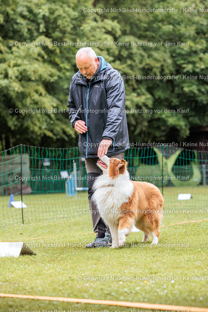 RO-Blumenthal-2026-Nickbest-Hundefotografie-3782 | Dein Hund! Dein Moment! Deine Erinnerungen! Hundefotografie in Bremen Blumenthal. Ich fange die besonderen Momente deines Vierbeiners ein – ob Indoor mit Blitzanlage oder in der freien Natur. Sicher dir dein Moment und dein Termin für eure Erinnerungen.