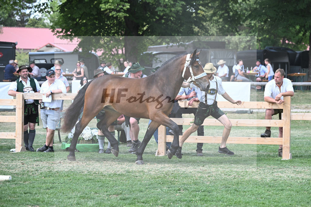 Kat-Nr. 64 Penelope_Birkholz_20231051 | hf-fotografie - Realisiert mit Pictrs.com