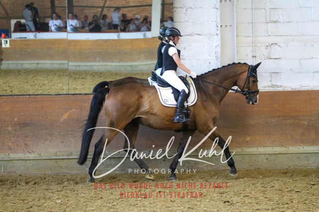 DKP44360 | Turniersportfotografie; Pferdefotografie; Dressurfotografie