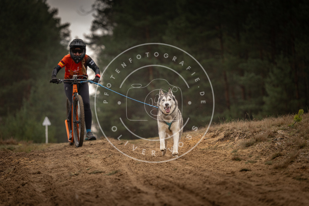 Pfotenfotografie_DV3A4989 | Hundefotografie, Tierfotograf, Pfotenfotografie, Fotoshooting Hund, Hunde Portrait, Hundesport, Hundeportraits, Heideshooting, Hunde, Sportfotograf, Hundefotograf, Turnierhundsport, THS,  - Realisiert mit Pictrs.com
