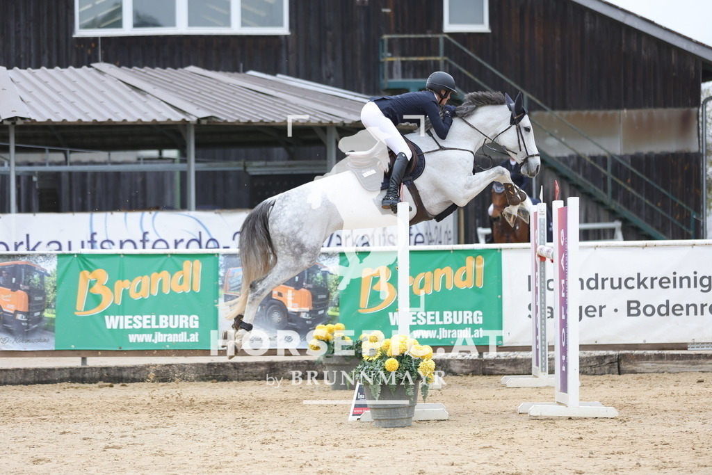 0P6A3885 | Willkommen bei Brunnmayr - Design & Fotografie – Ihrem Spezialisten für Reitturniere und Pferdeveranstaltungen in Oberösterreich, Salzburg und Bayern! Seit über 17 Jahren sind wir leidenschaftlich dabei.