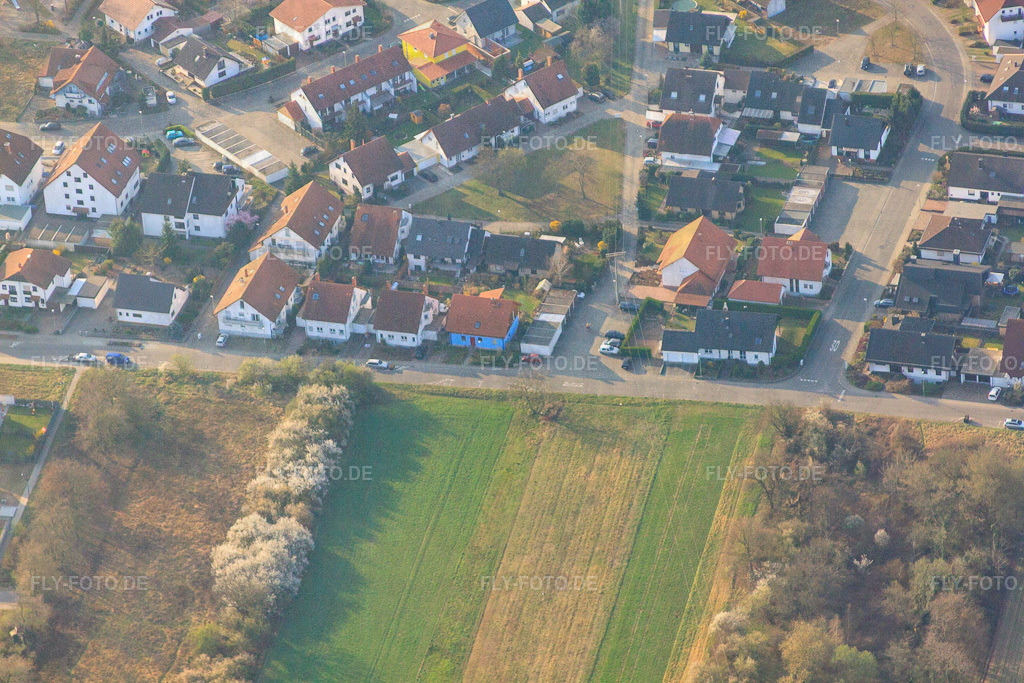 Am Hirschgragben | Luftbild: Am Hirschgragben in Lingenfeld im Bundesland Rheinland-Pfalz in Deutschland. Foto: IMG_49318.jpg vom 28.03.2012 durch Werner Riehm/FLY-FOTO.de - Realisiert mit Pictrs.com