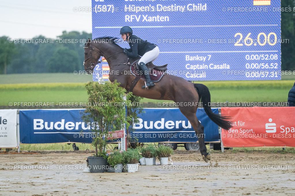 DSC04200 | Pferdegrafie