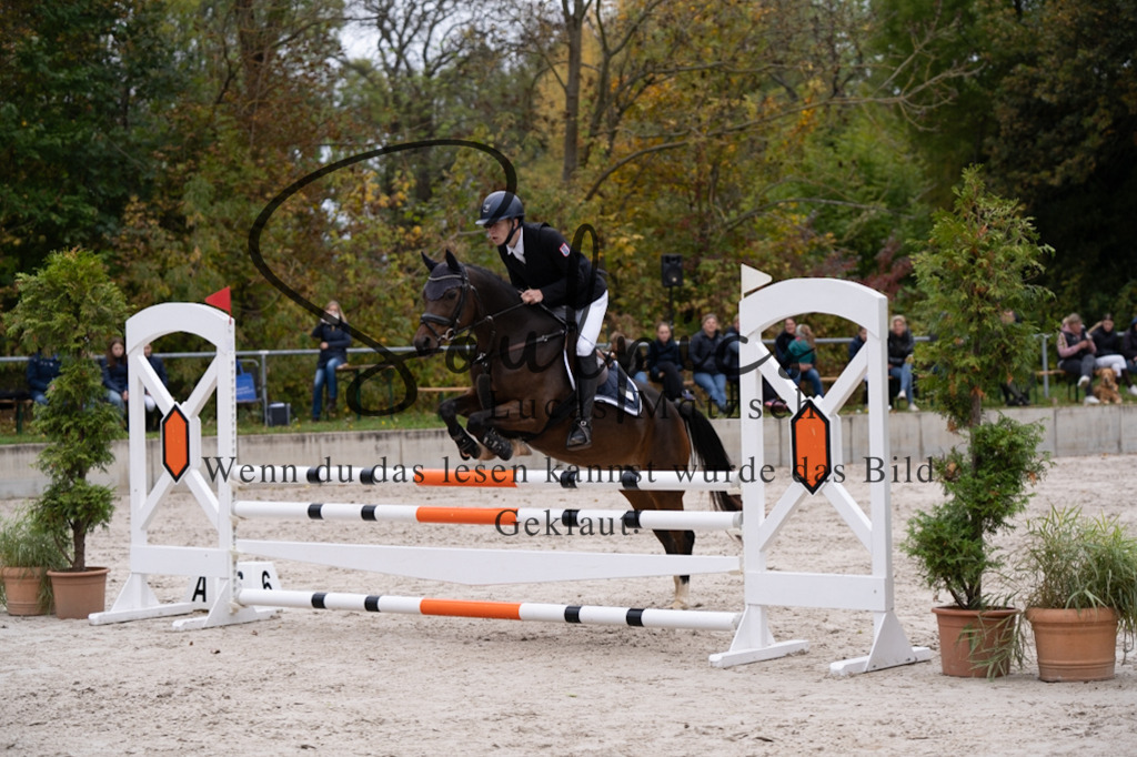 A7V07902 | Pferdefotograf