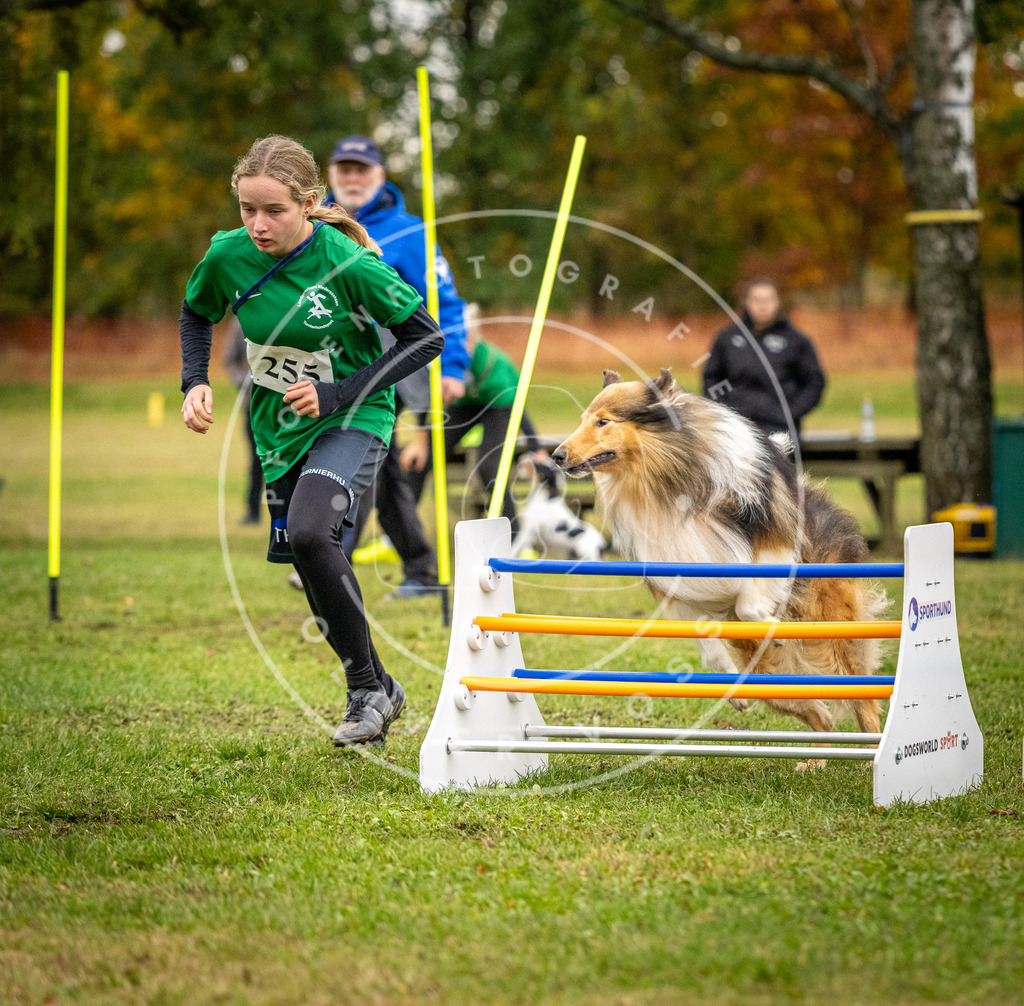 Pfotenfotografie_DV3A0388 | Hundefotografie, Tierfotograf, Pfotenfotografie, Fotoshooting Hund, Hunde Portrait, Hundesport, Hundeportraits, Heideshooting, Hunde, Sportfotograf, Hundefotograf, Turnierhundsport, THS,  - Realisiert mit Pictrs.com