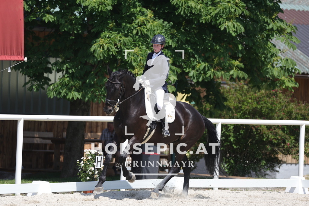 0P6A5966 | Willkommen bei Brunnmayr - Design & Fotografie – Ihrem Spezialisten für Reitturniere und Pferdeveranstaltungen in Oberösterreich, Salzburg und Bayern! Seit über 17 Jahren sind wir leidenschaftlich dabei.