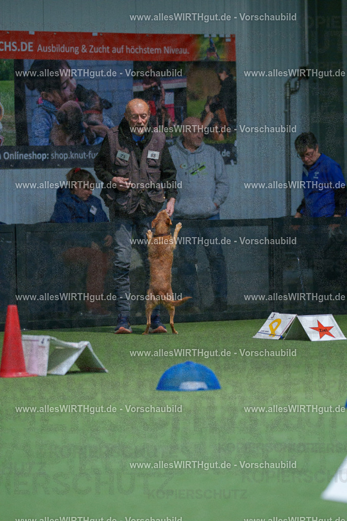 7R502661 | Professionelle Tierfotografie in Mönchengladbach von Daniel Wirth (allesWIRTHgut). Liebevolle & natürliche Bilder von Hunden & Katzen für unvergessliche Erinnerungen.