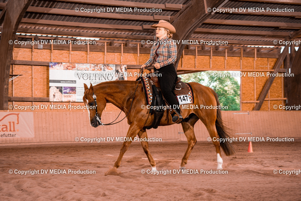 NE100261 | dv-media-shop - Realisiert mit Pictrs.com