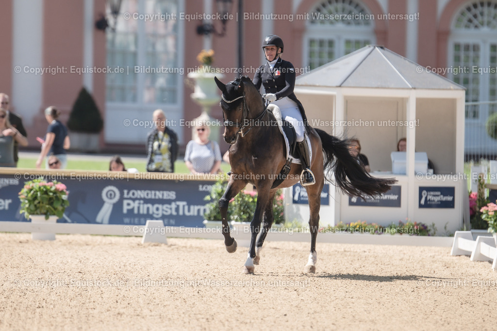 20230528_03_GP-Special-Tour_0044 | equistock
