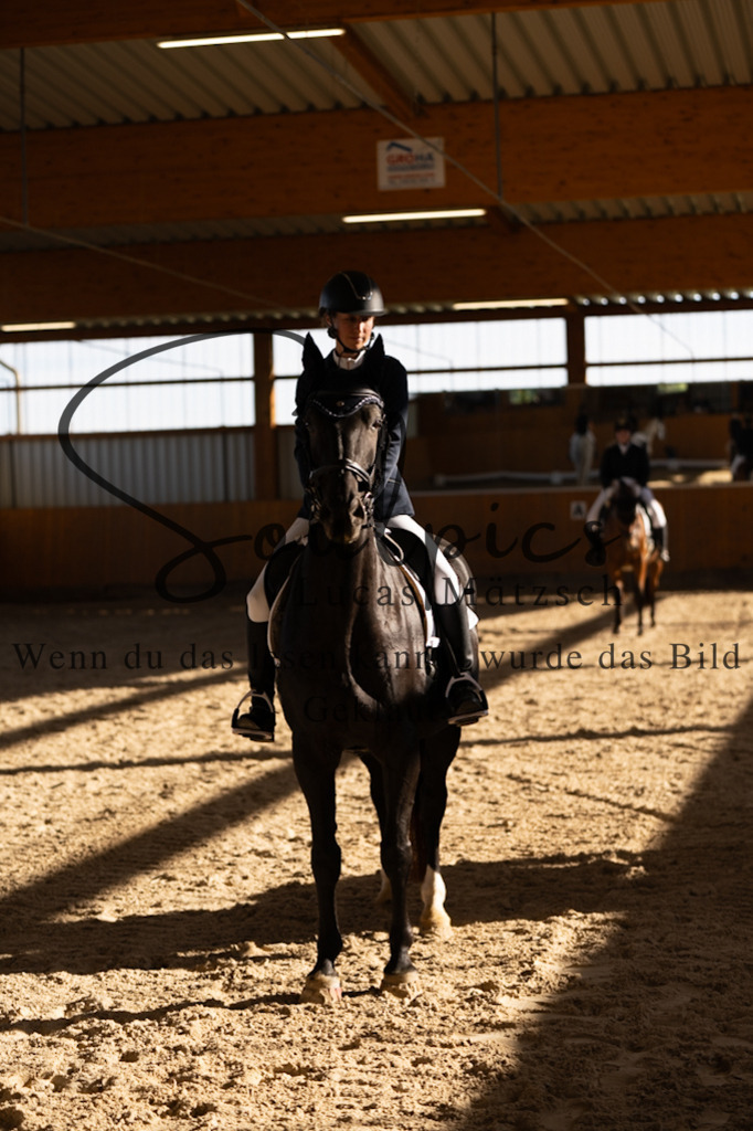 A7V01817 | Turnier/Reitfotograf