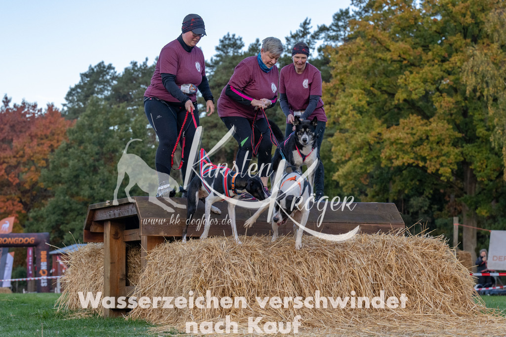 0827_ZZ90746 | kk-dogfotos