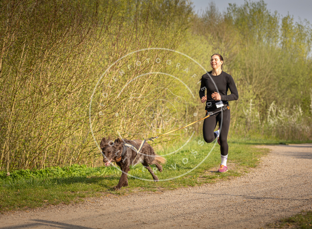 Pfotenfotografie_DV3A4619 | Hundefotografie, Tierfotograf, Pfotenfotografie, Fotoshooting Hund, Hunde Portrait, Hundesport, Hundeportraits, Heideshooting, Hunde, Sportfotograf, Hundefotograf, Turnierhundsport, THS,  - Realisiert mit Pictrs.com