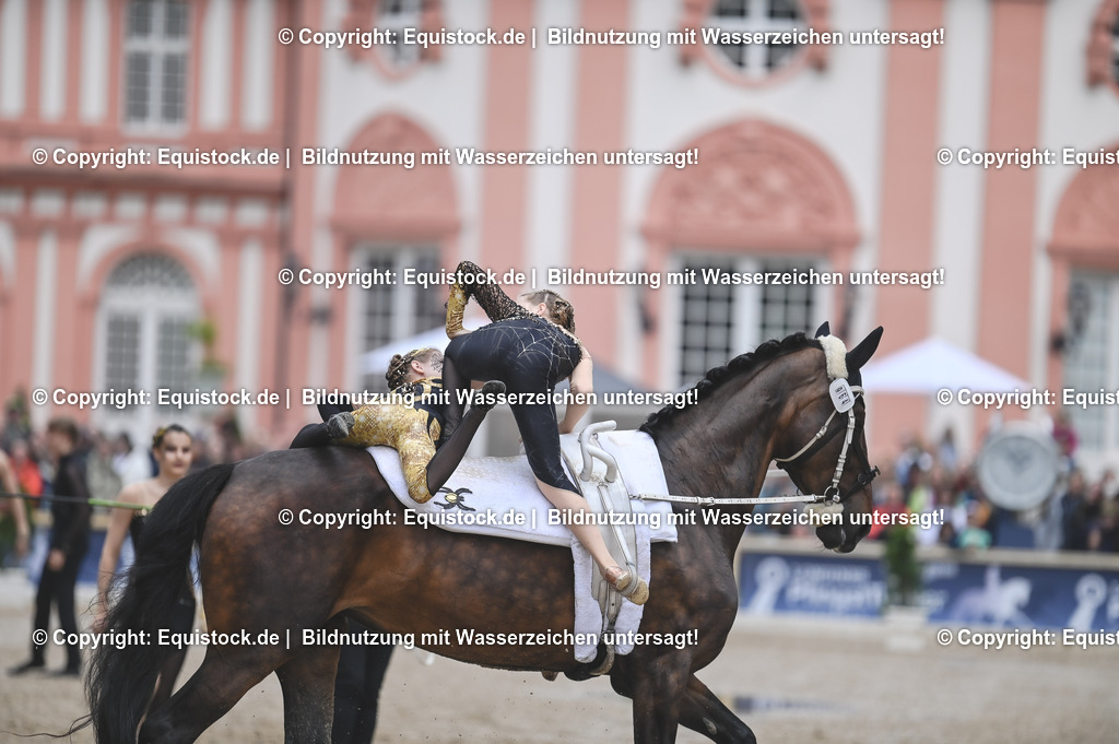 20240519_Voltige_0968 | Foto: Thomas Hartig