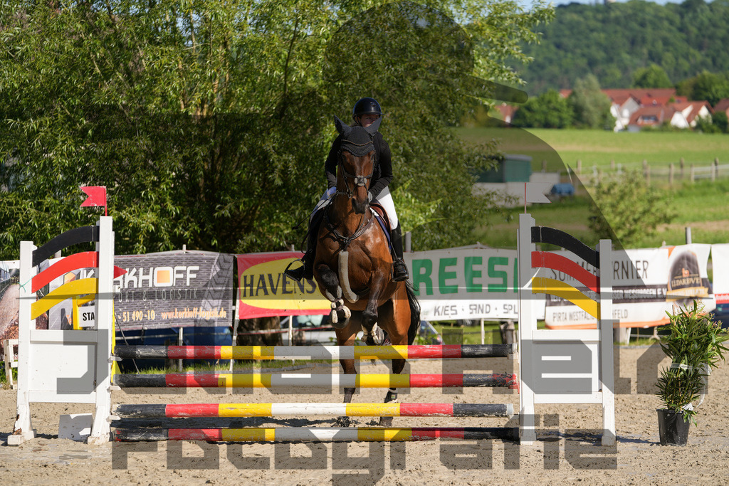 DSC02038 | Julian Held Fotografie - Realisiert mit Pictrs.com