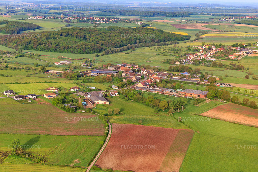 Aerial view: View of the town from the east in Hinsingen in the state Bas-Rhin, France. – Photo: IMG_140573.jpg taken on 05/01/2024 by Werner Riehm/FLY-FOTO.com – Resolution of the original: 5472 x 3648 px