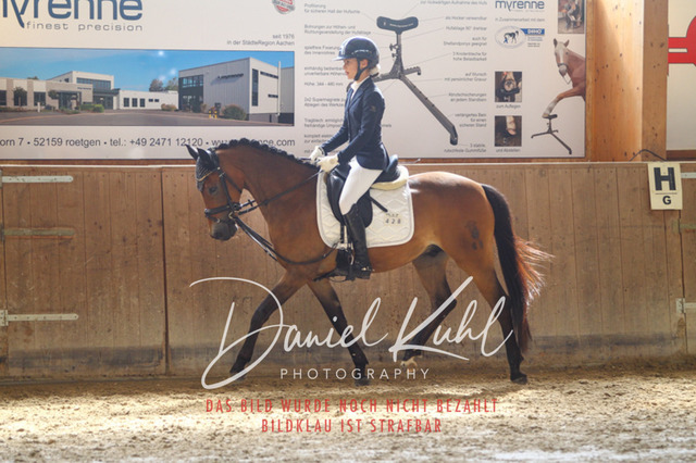 DKP45211 | Turniersportfotografie; Pferdefotografie; Dressurfotografie