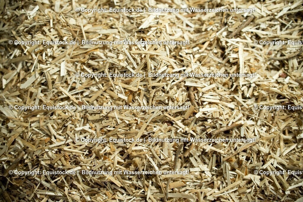 20190409_Leinen-Stroh_0007 | Foto: Thomas Hartig