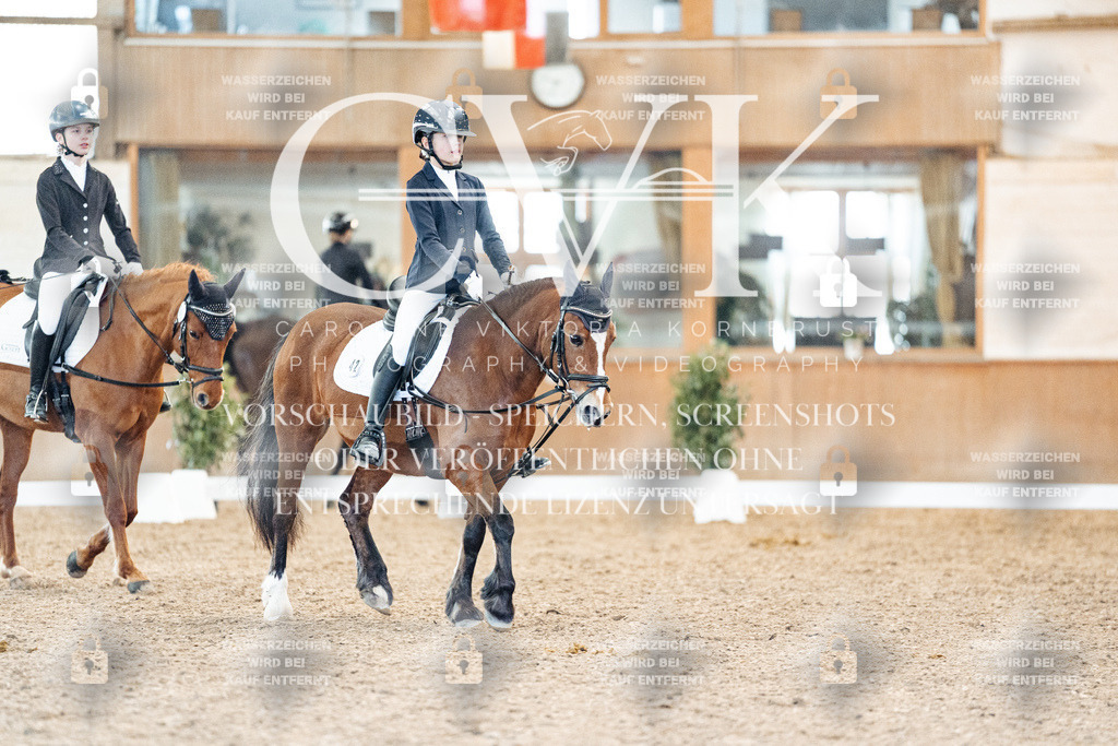 CK907831 | Turnierfotografie Pferdefotografie Trier Rheinland-Pfalz Pferdesport Reitsport Tierfotografie Sportfotografie Pferdevideo Pferdevideografie Equestrianvideography equestrianphotography  - Realisiert mit Pictrs.com