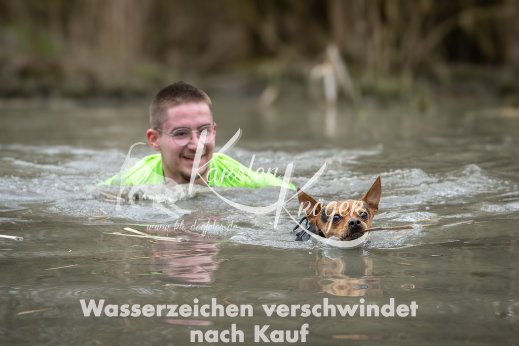 1112_ZZ97361 | kk-dogfotos