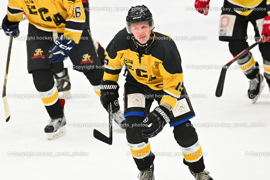 EC Kellerberg vs. EC Arnoldstein | #19 Pichler Daniel EC Arnoldstein, EC Kellerberg vs. EC Arnoldstein, EC Kellerberg vs. EC Arnoldstein am 31.01.2025 in Villach (Stadthalle Villach), Austria, (Photo by Bernd Stefan)