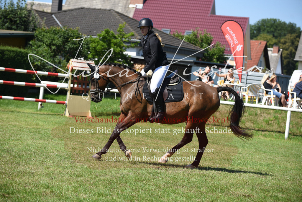 DSC_9408 | Pferde- und Turnierfotografie in Westsachsen. Pferdeportraits, Auftragszeichnungen und intuitive Kunst.